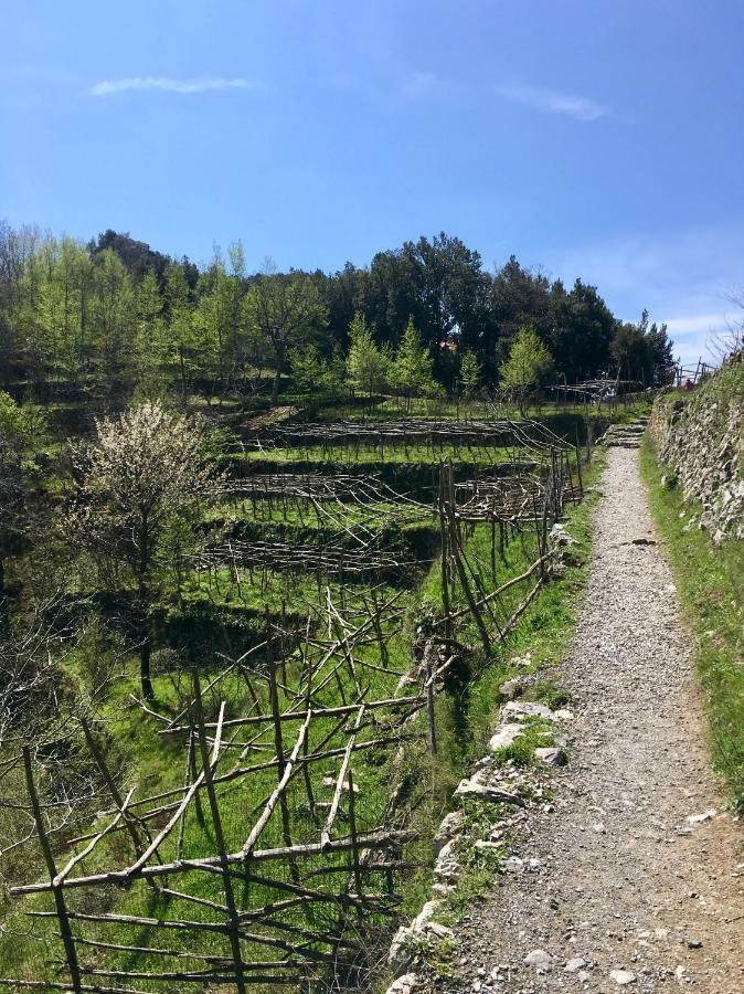 La Libraia Agerola Exterior foto